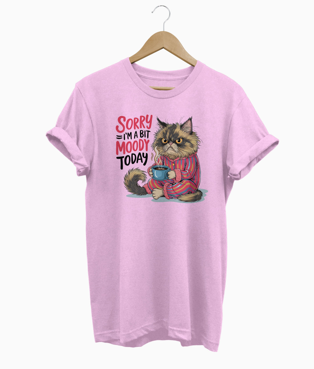 Sorry I'm a Bit Moody Today