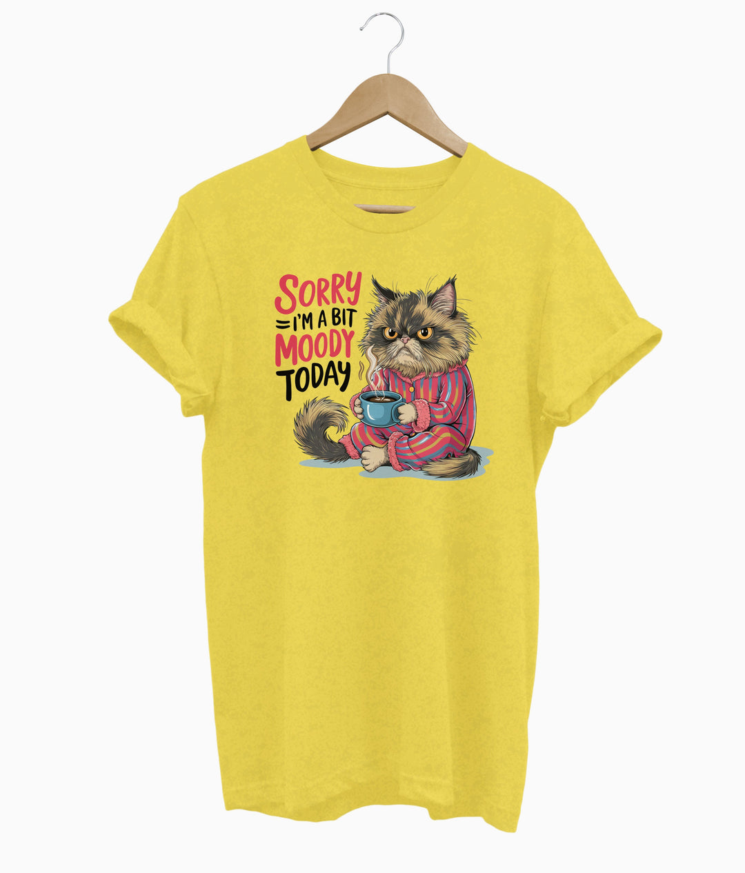 Sorry I'm a Bit Moody Today